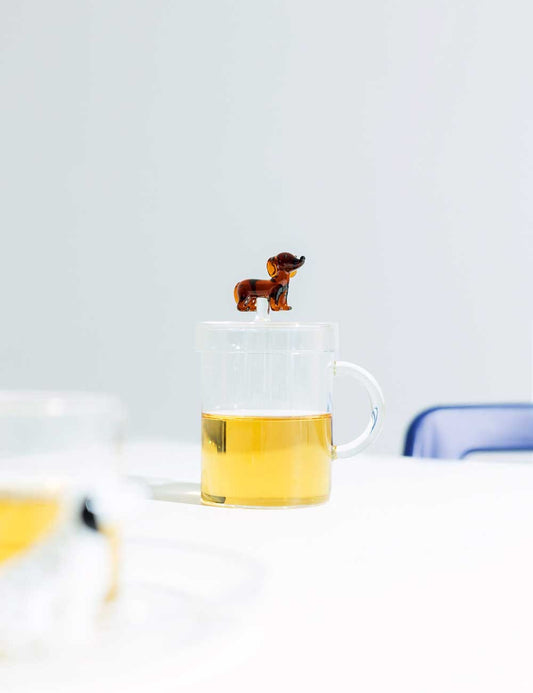taza bassotto