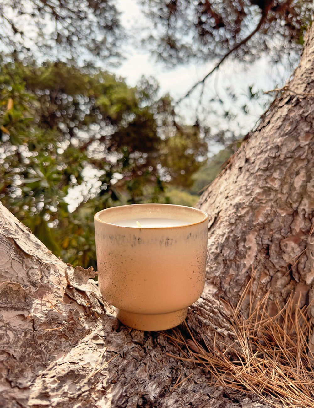 VANCOUVER VELA AROMÁTICA