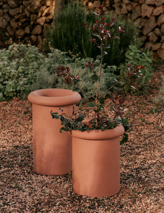 ROLLO POT