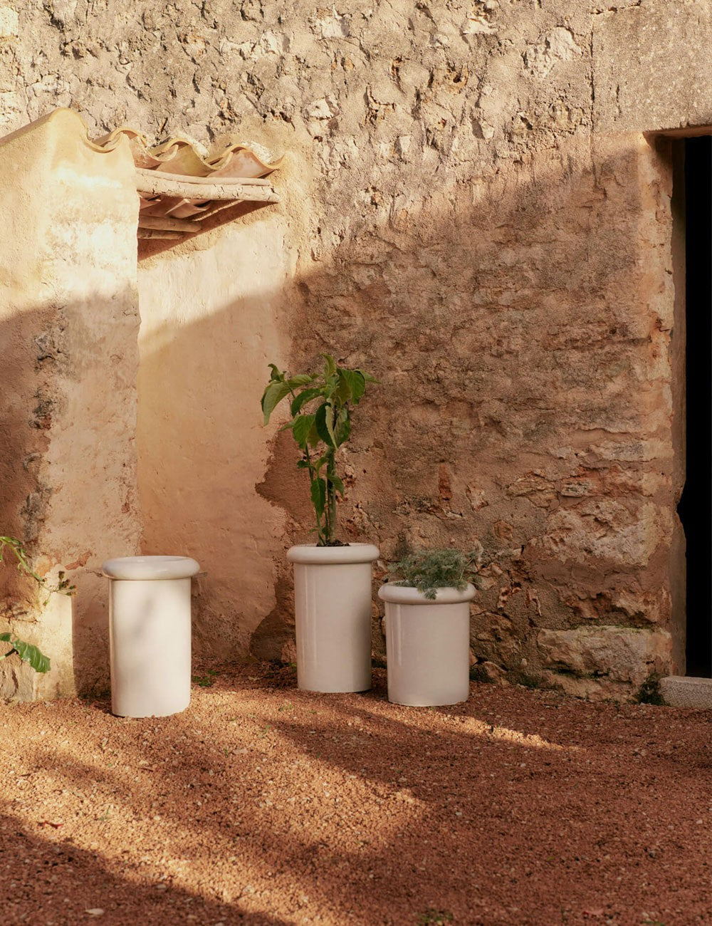 ROLLO POT