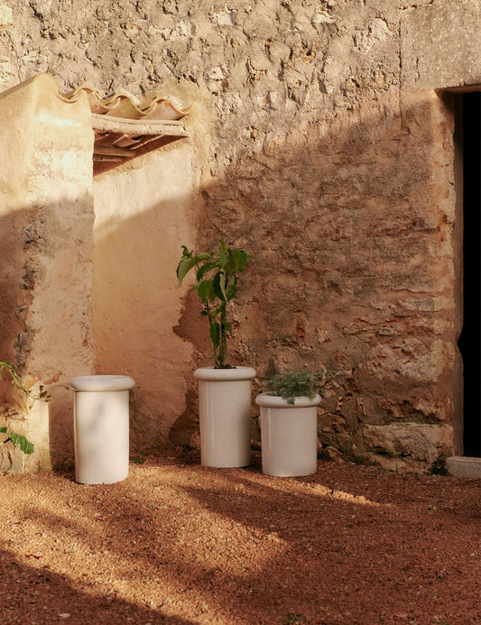 ROLLO POT