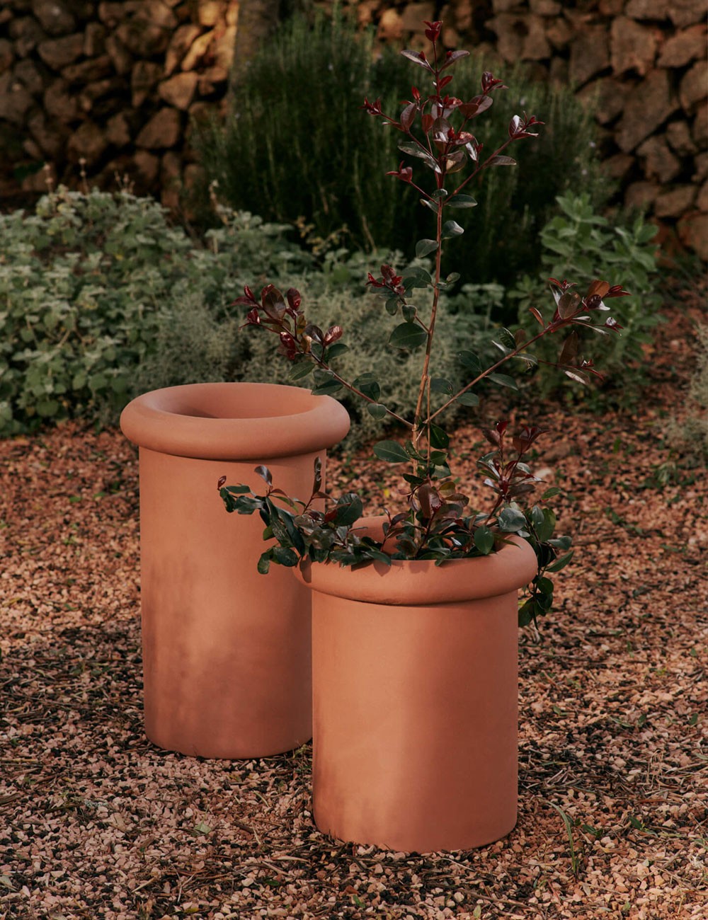 ROLLO POT