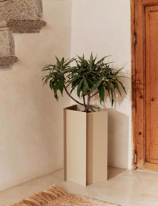 FRAGMA PLANTER