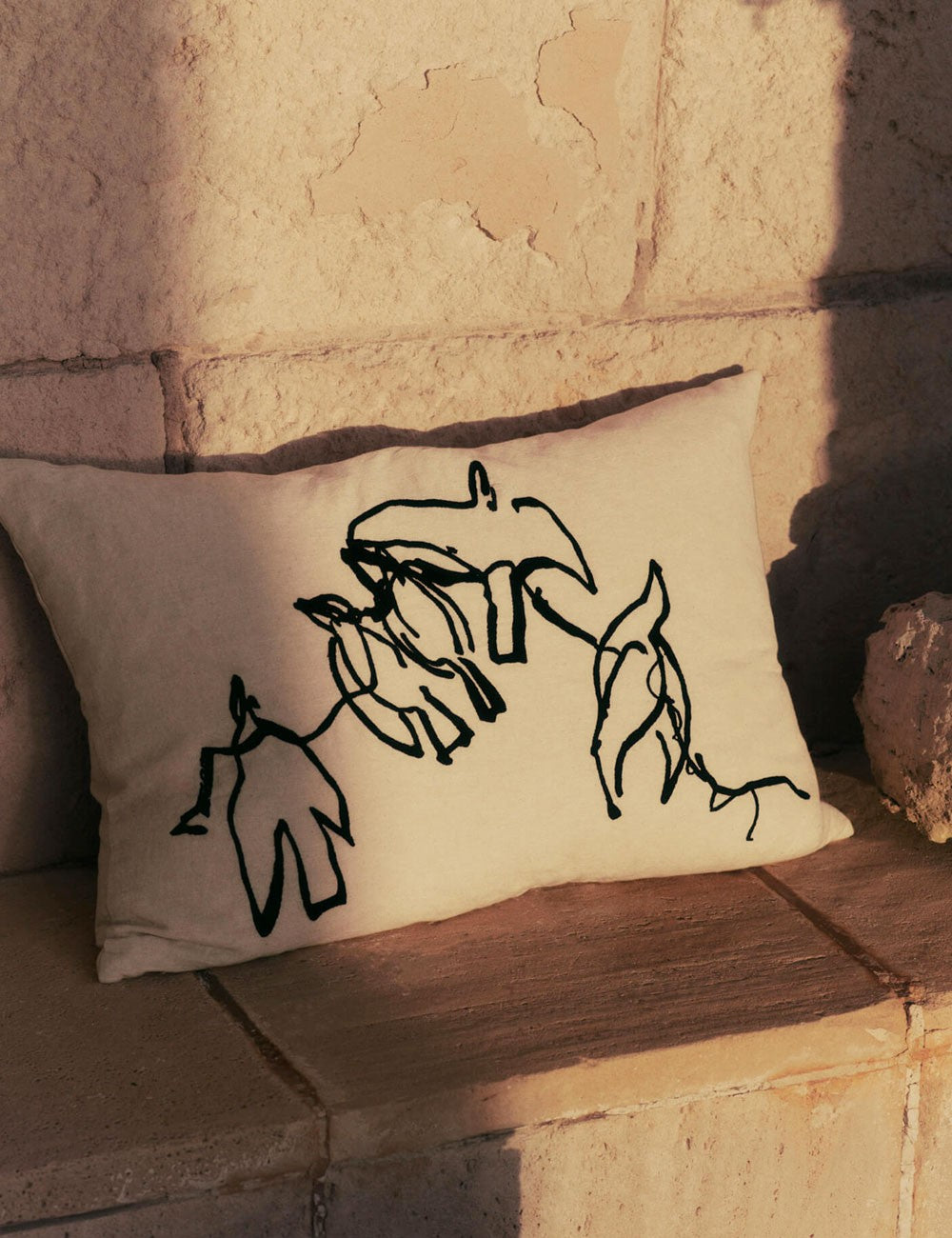 coussin de vol
