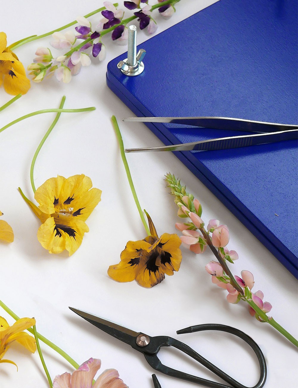 ensemble de presse à fleurs