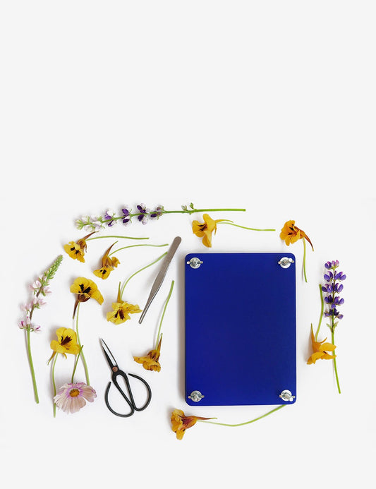 set prensa flores
