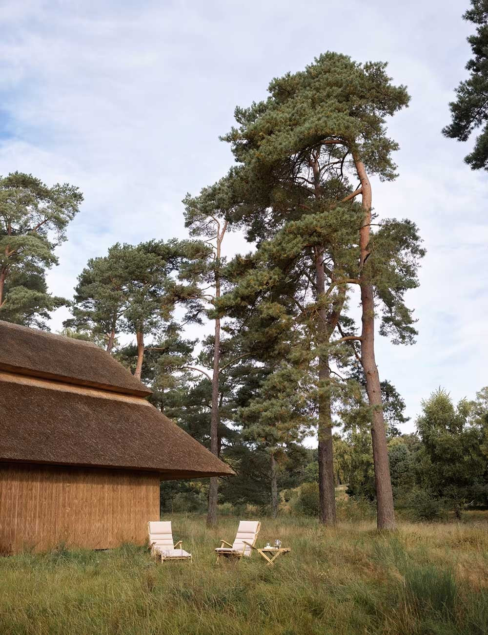 bm5568 sedia da ponte con cuscino