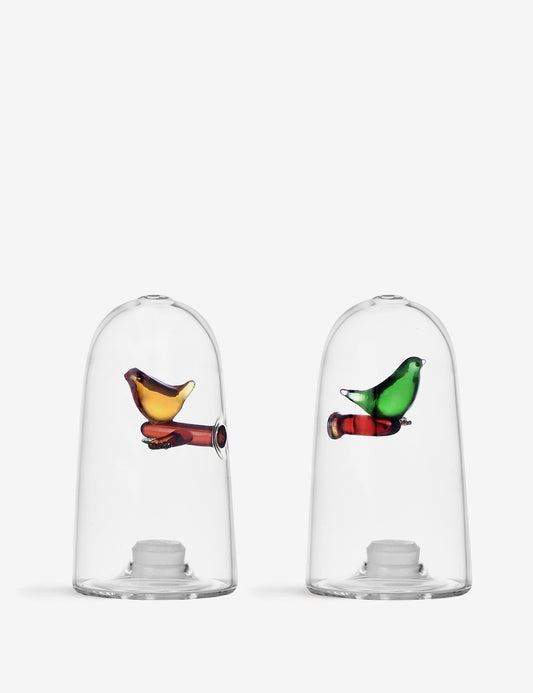 SALEIRO PIMENTEIRO PÁSSAROS