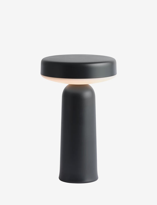 ease portable lamp