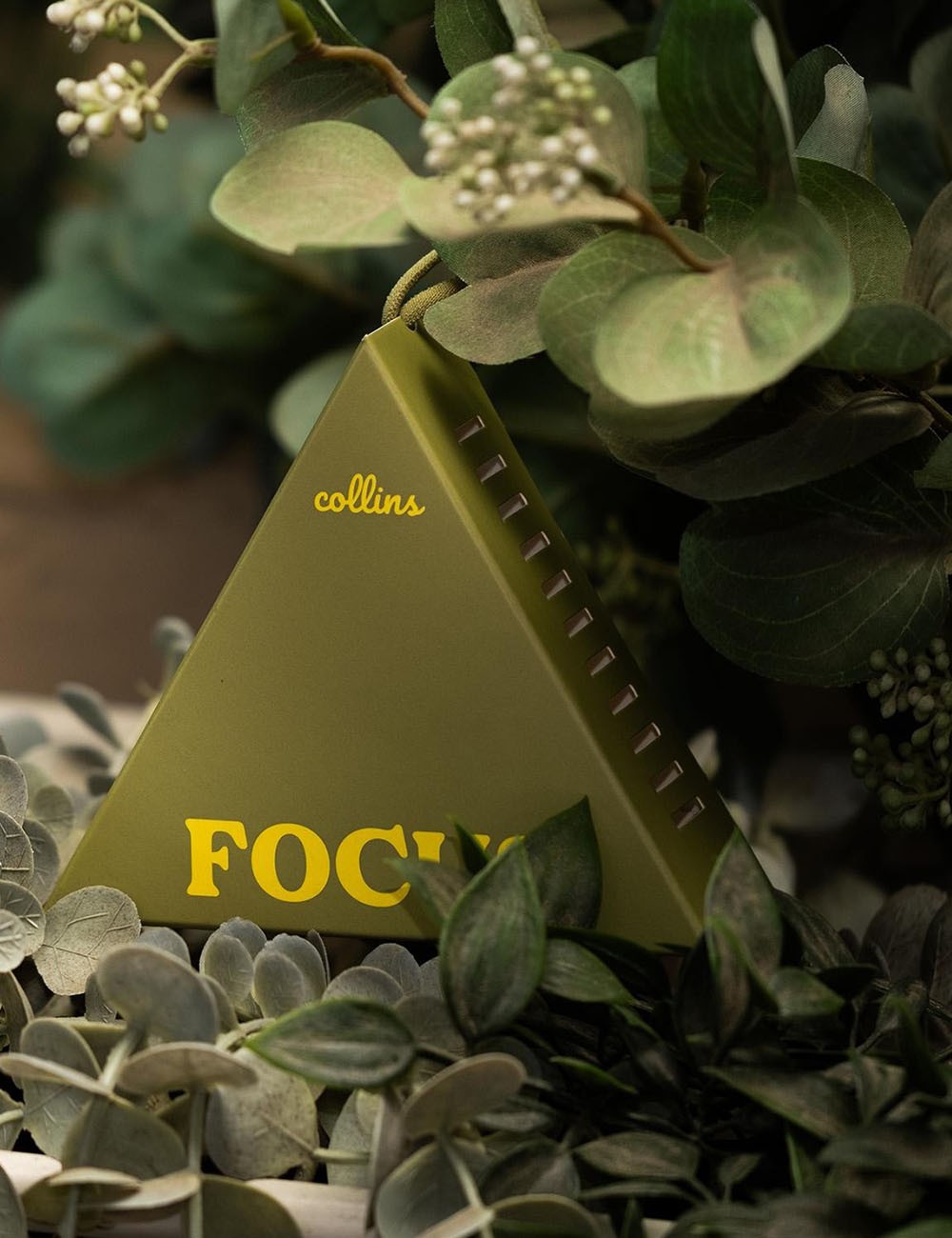 messa a fuoco della bustina