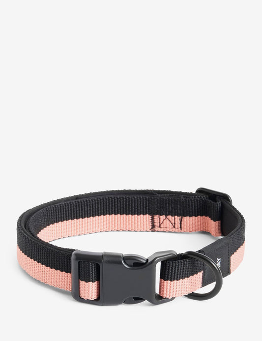 dog collar l