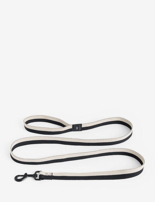 dog leash