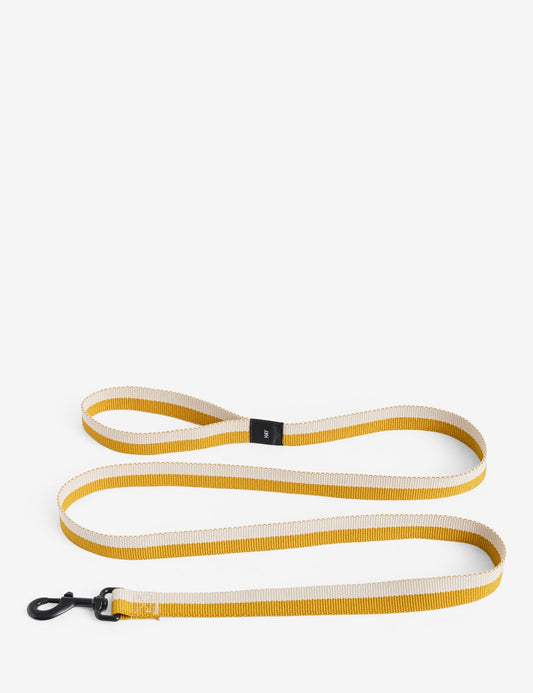 dog leash