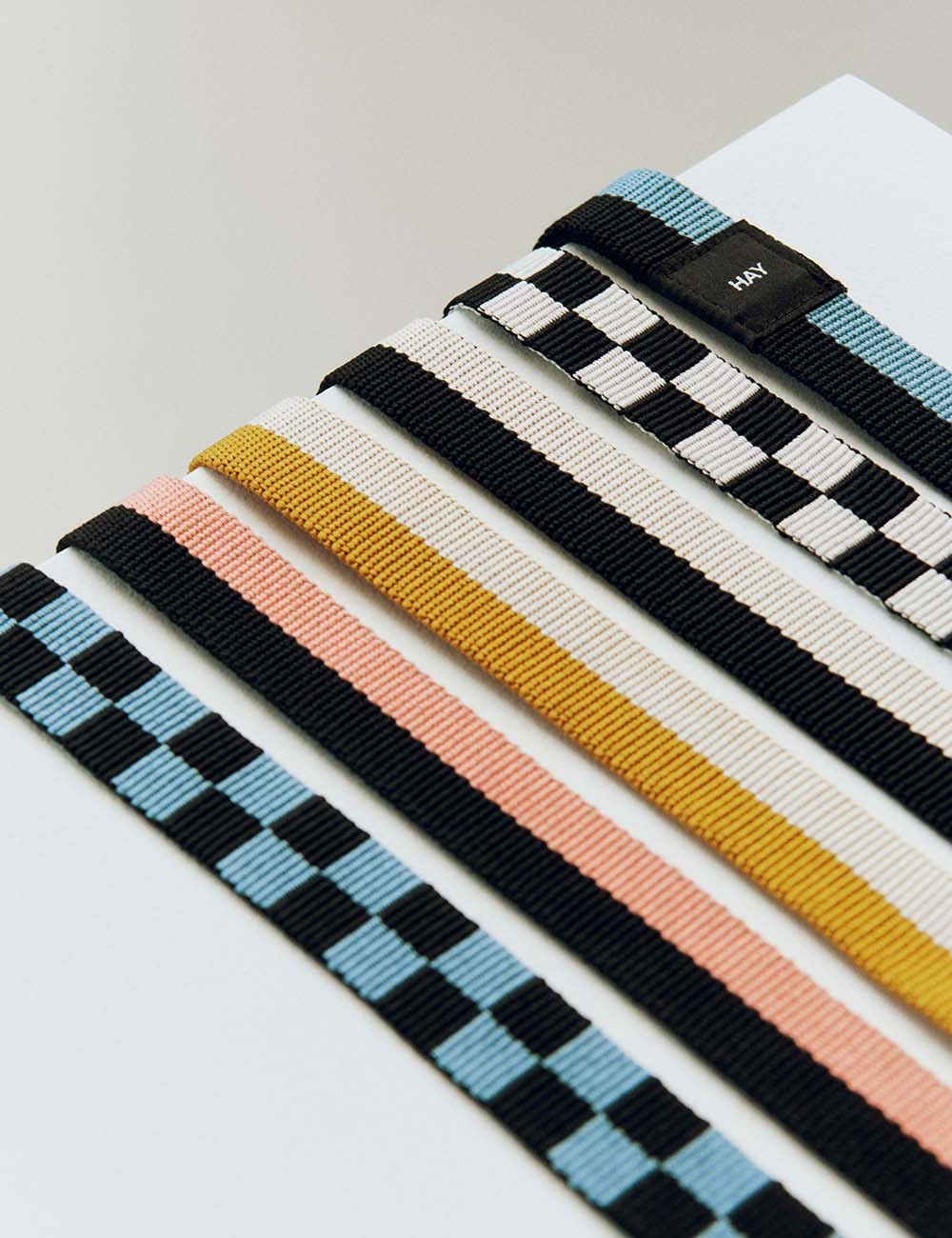 dog leash