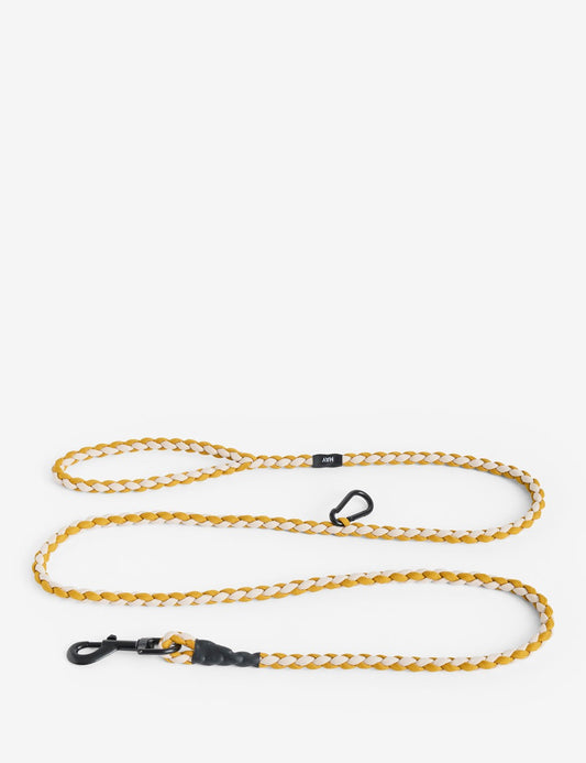 dog leash braided adjustable