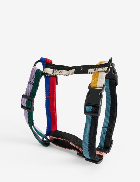 dog harness