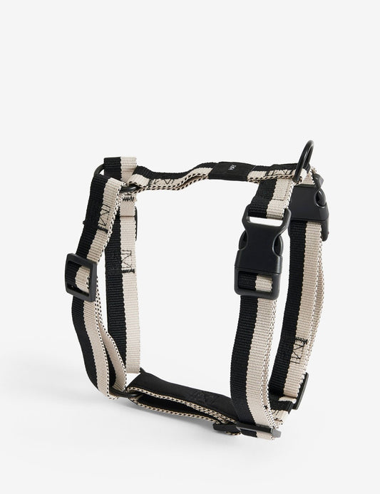 dog harness