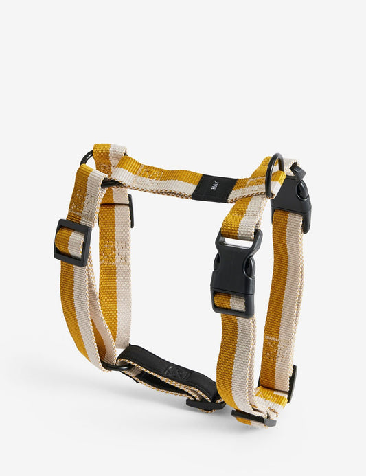 dog harness