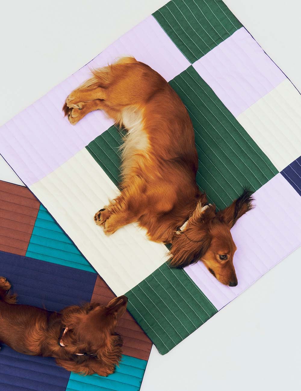DOG TRAVEL BLANKET