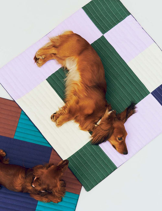 dog travel blanket