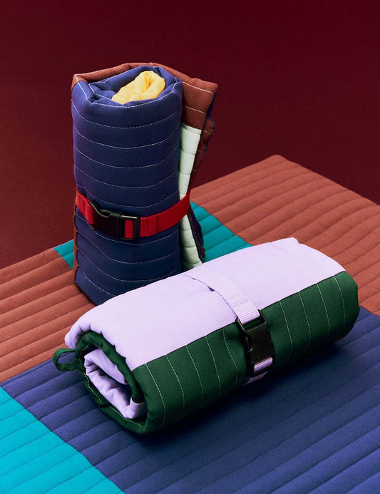 dog travel blanket
