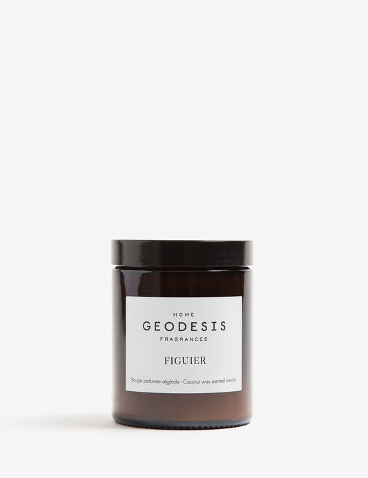 figuier