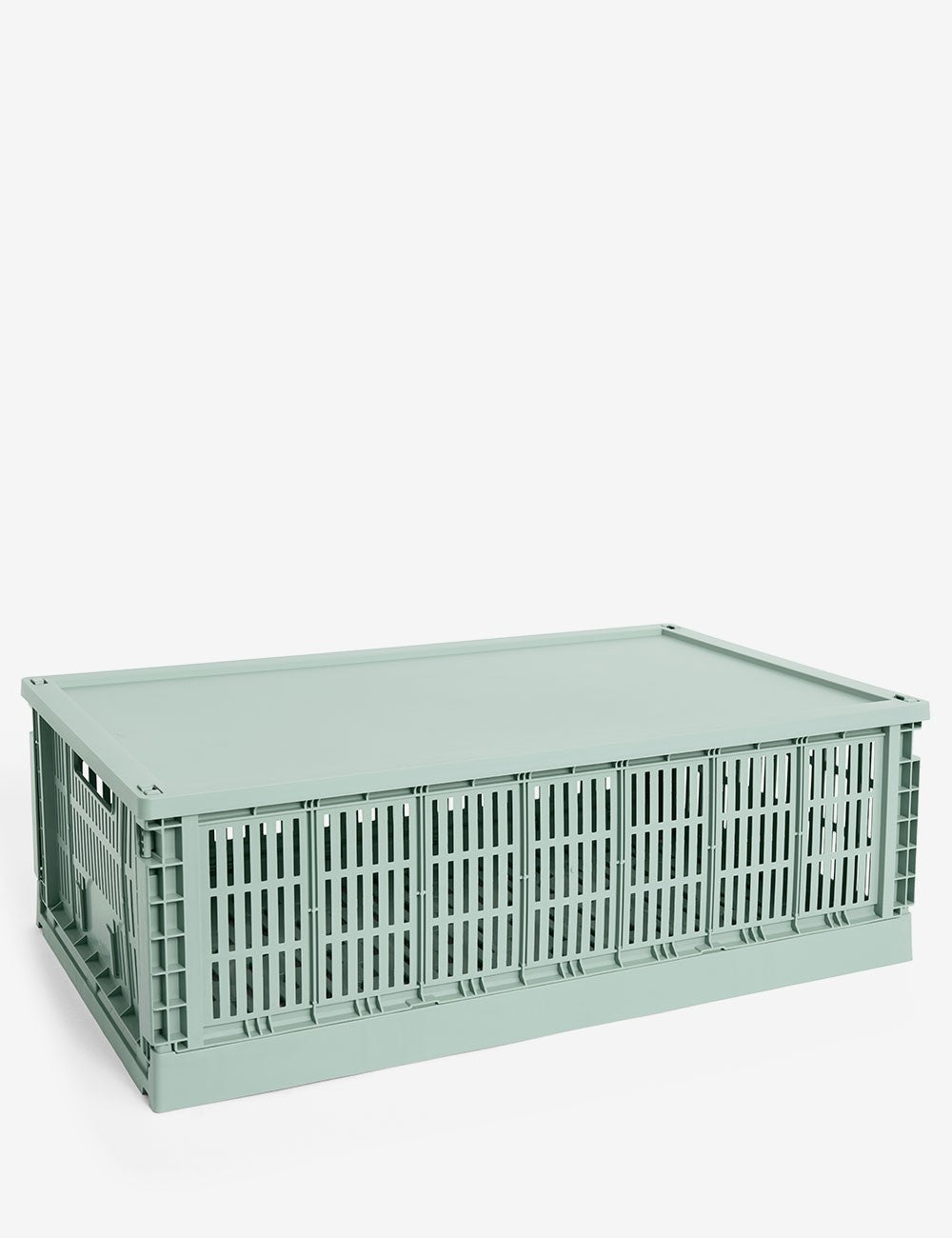 hay colour crate lid plastic x-large