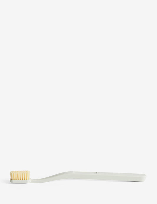 brosse à dents tann