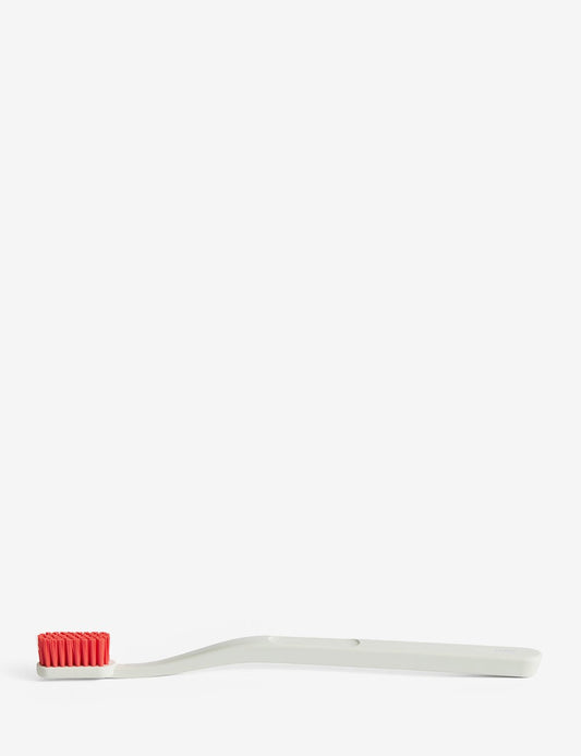 brosse à dents tann