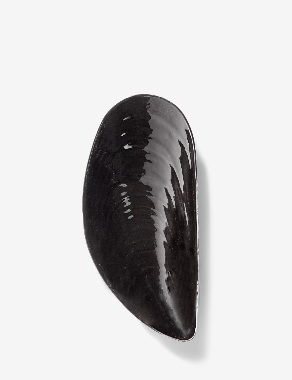 Taça mexilhão Marcel M