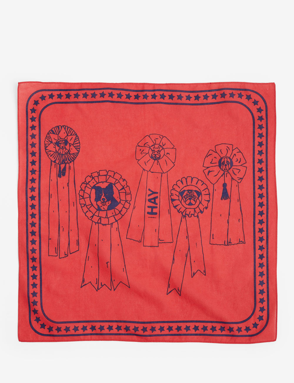 Bandana chien HAY Dogs