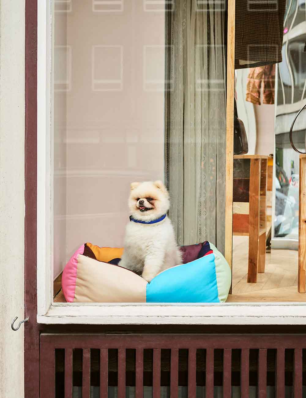 Cama perro desenfundable S HAY Dogs