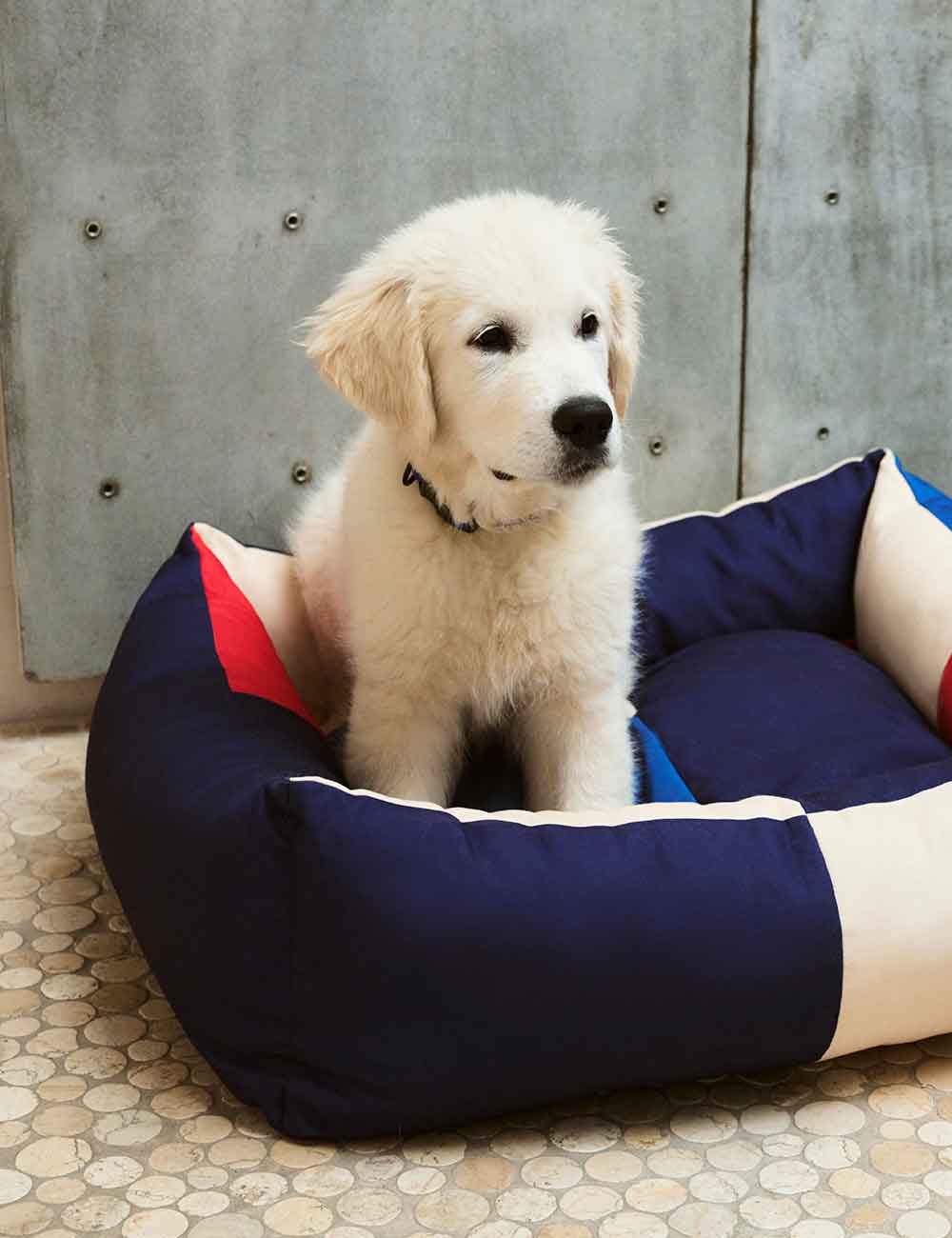 Cama perro desenfundable M HAY Dogs
