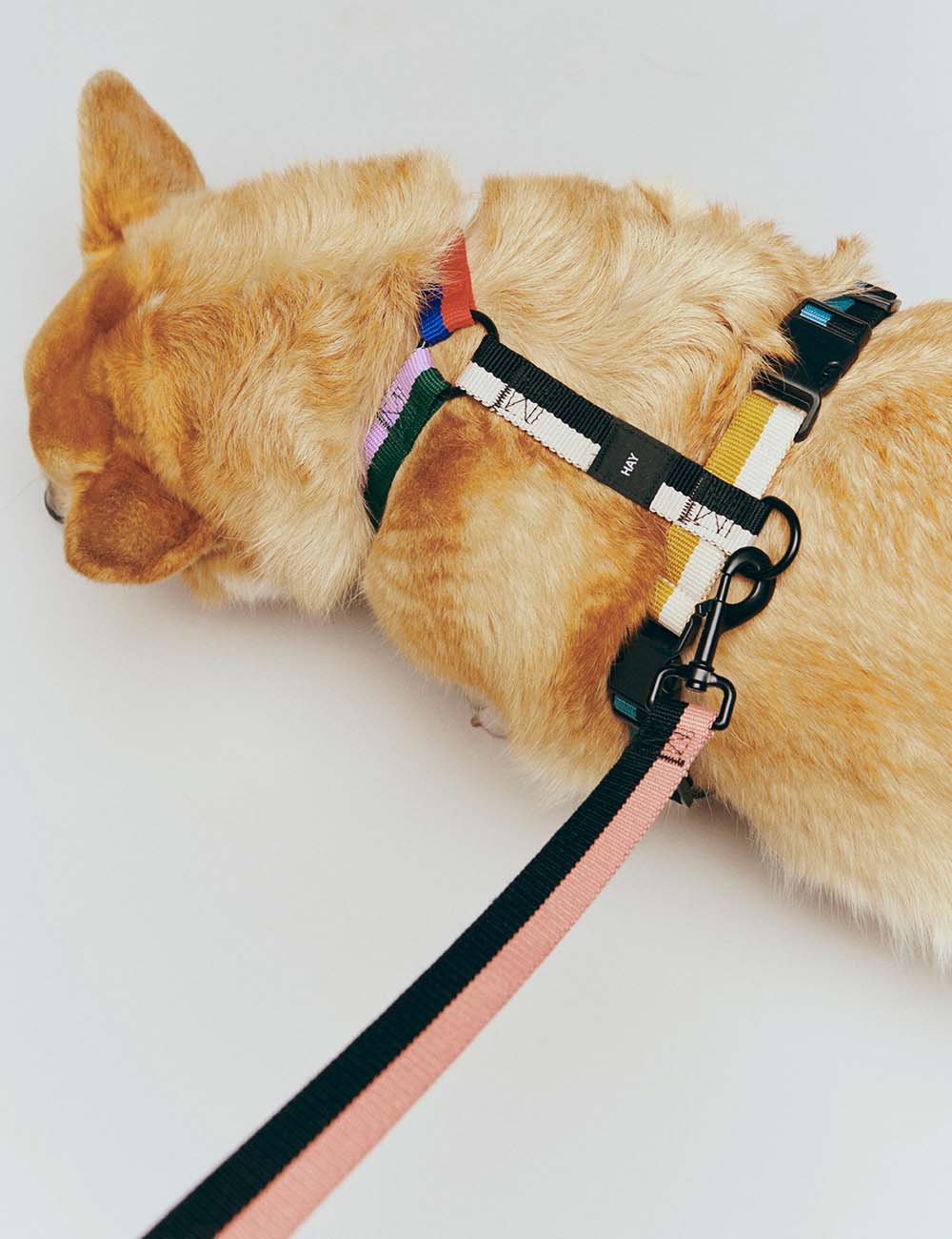 Arnés perro HAY Dogs
