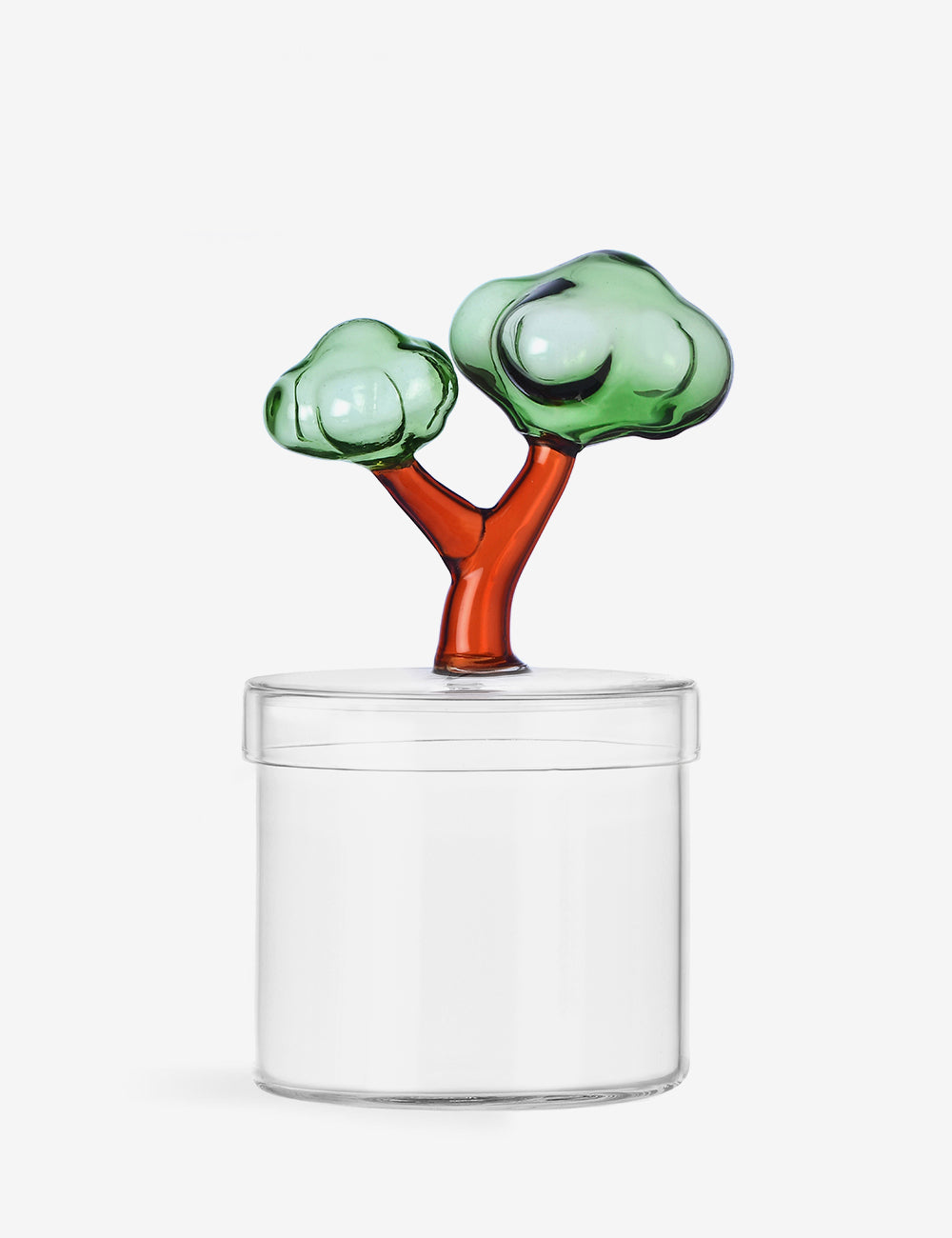 Barattolo Talking Trees