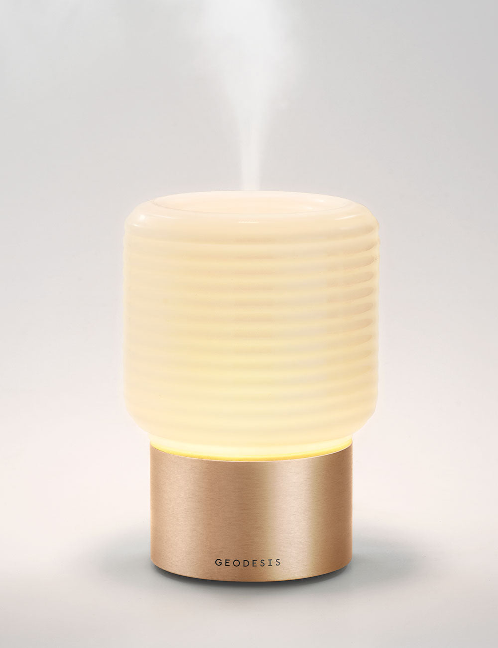 Difusor de bruma de perfume con luz regulable