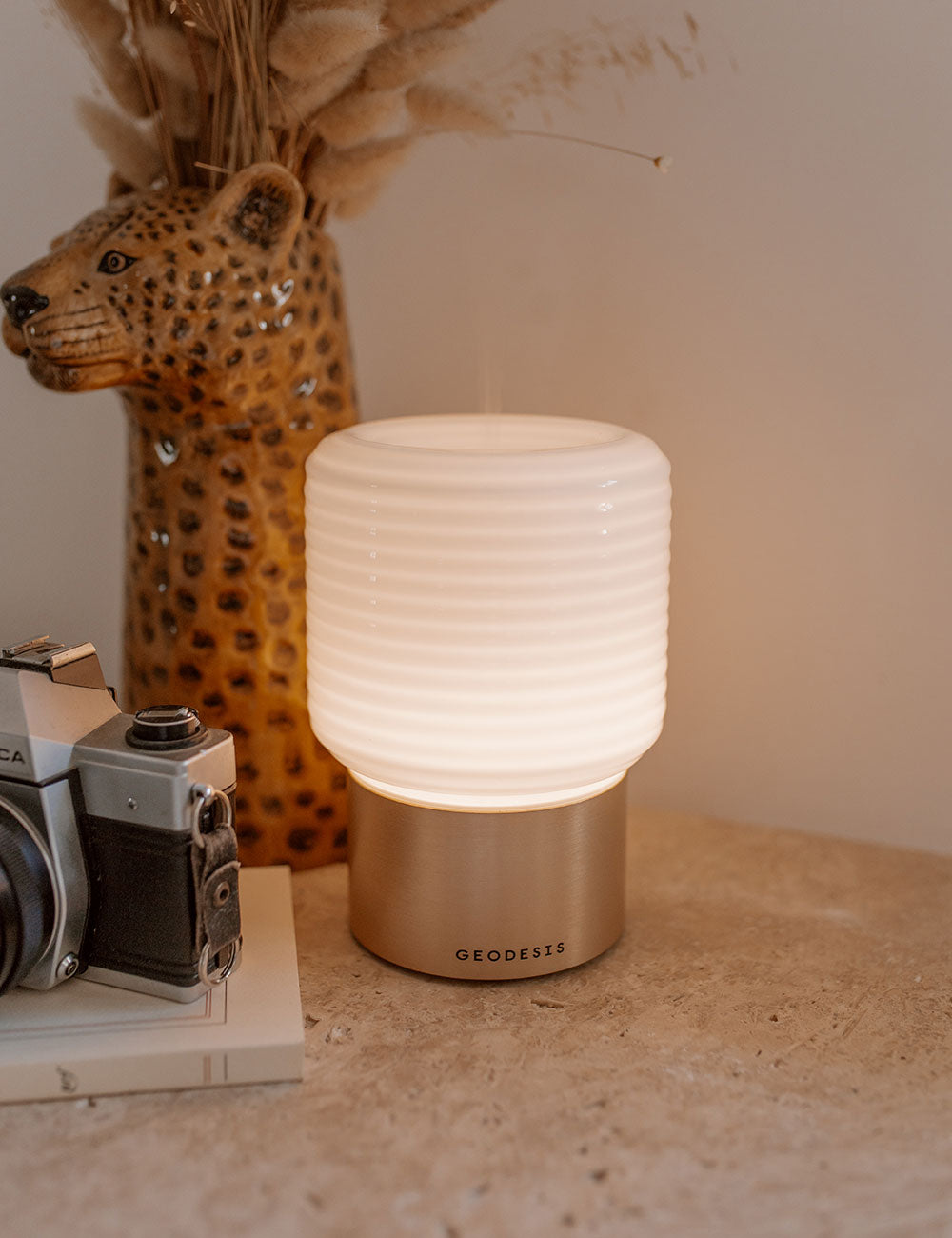 Difusor de bruma de perfume con luz regulable