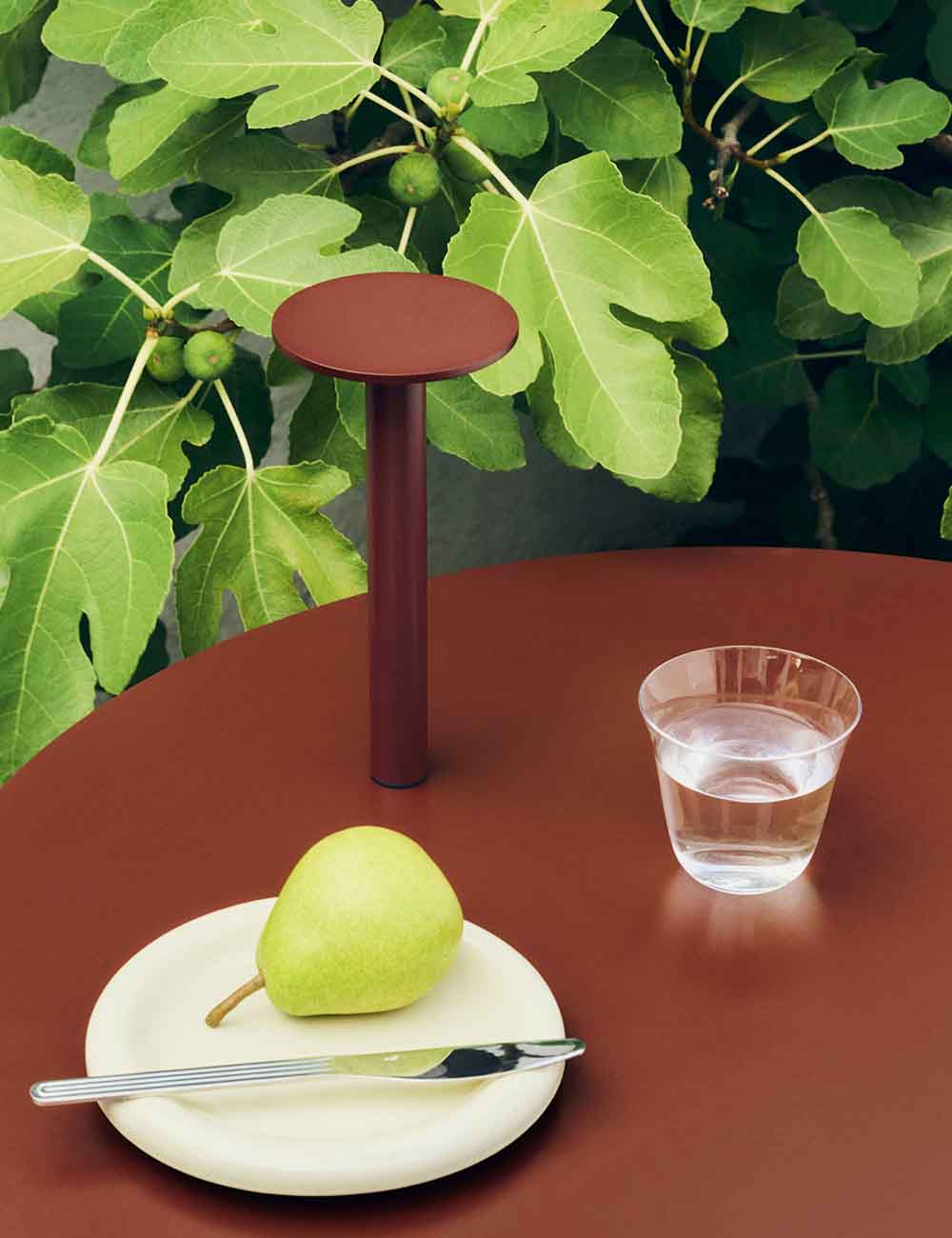 Lámpara portátil Host 220