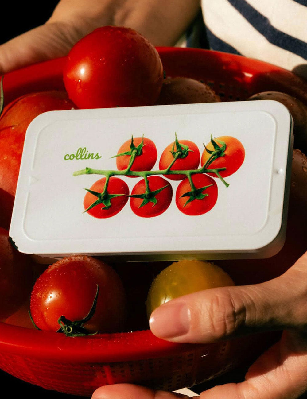 Set Incenso Tomato