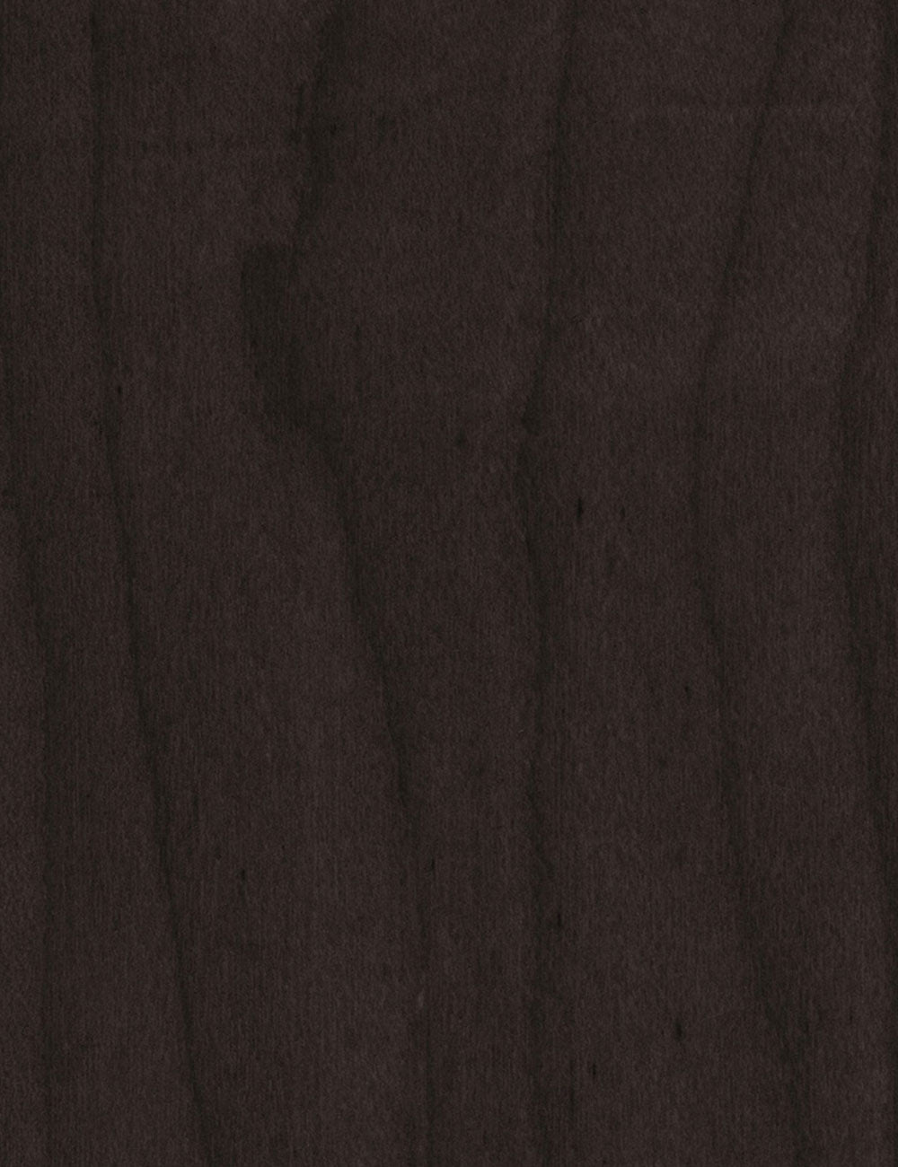 Suricata