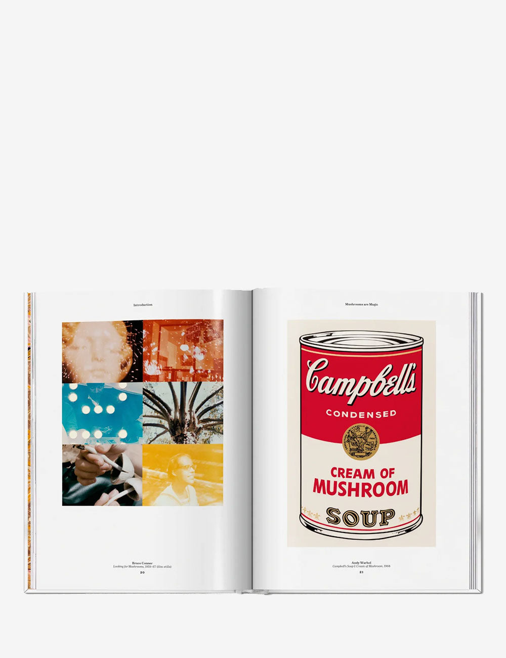 The Gourmand's Mushroom. A Collection of Stories and Recipes