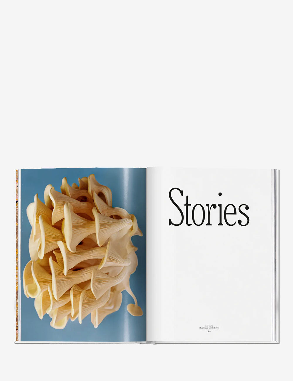The Gourmand's Mushroom. A Collection of Stories and Recipes