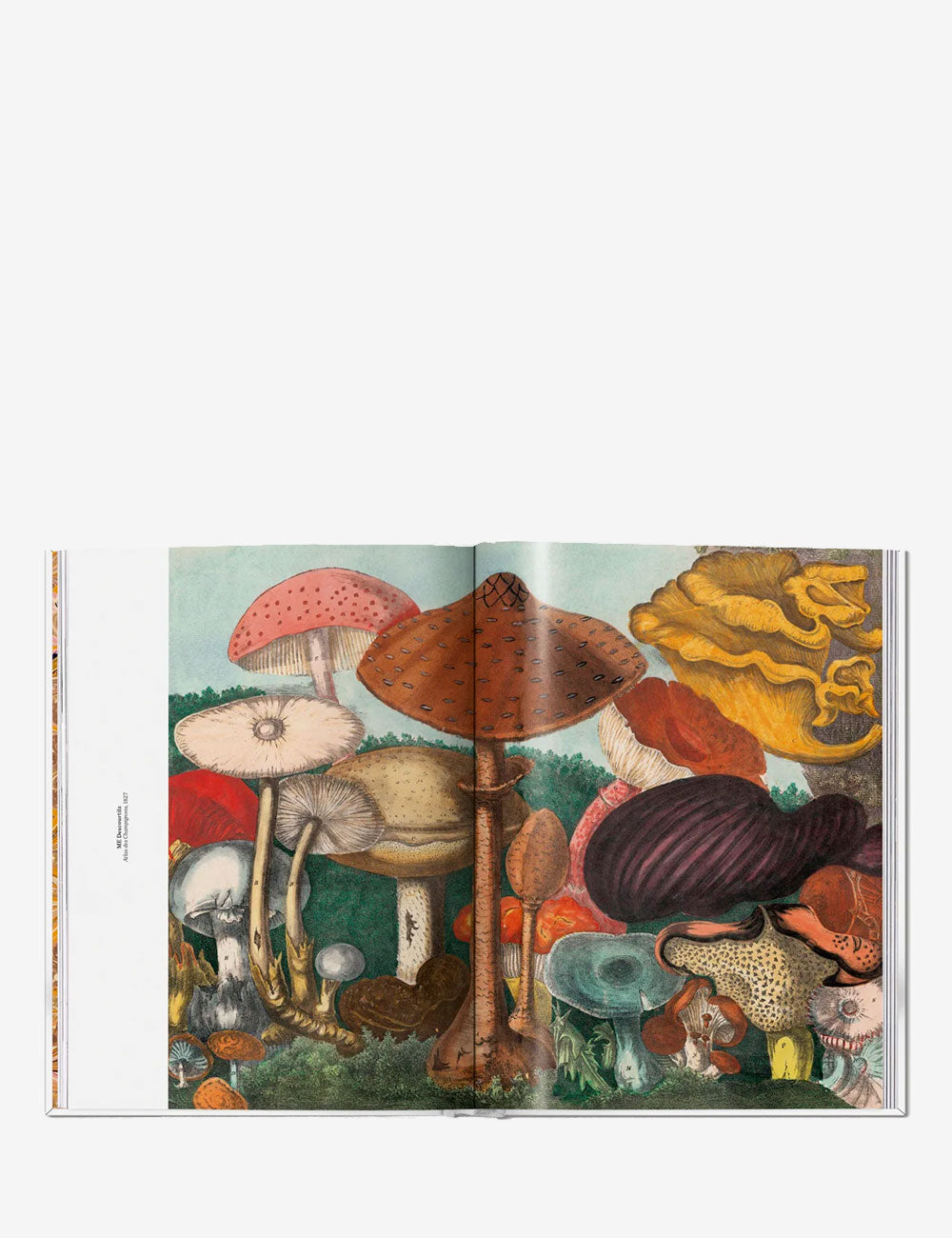 The Gourmand's Mushroom. A Collection of Stories and Recipes