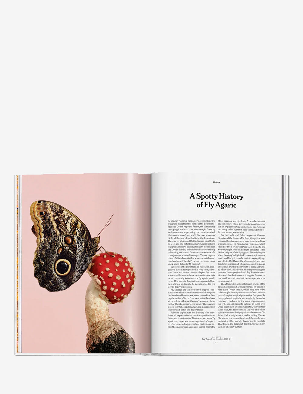 The Gourmand's Mushroom. A Collection of Stories and Recipes