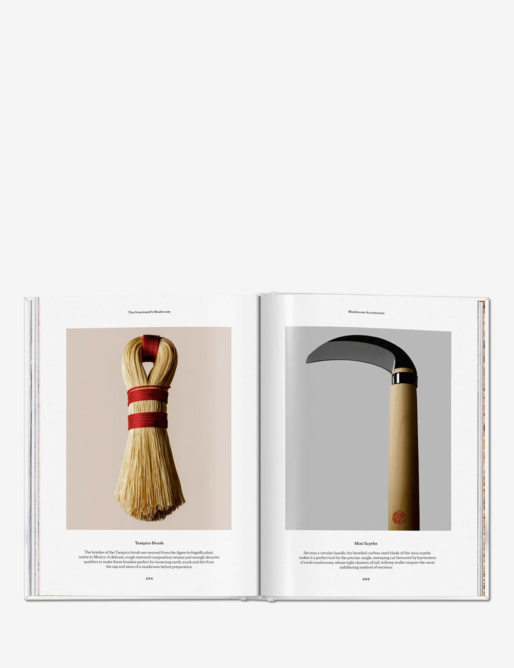 The Gourmand's Mushroom. A Collection of Stories and Recipes