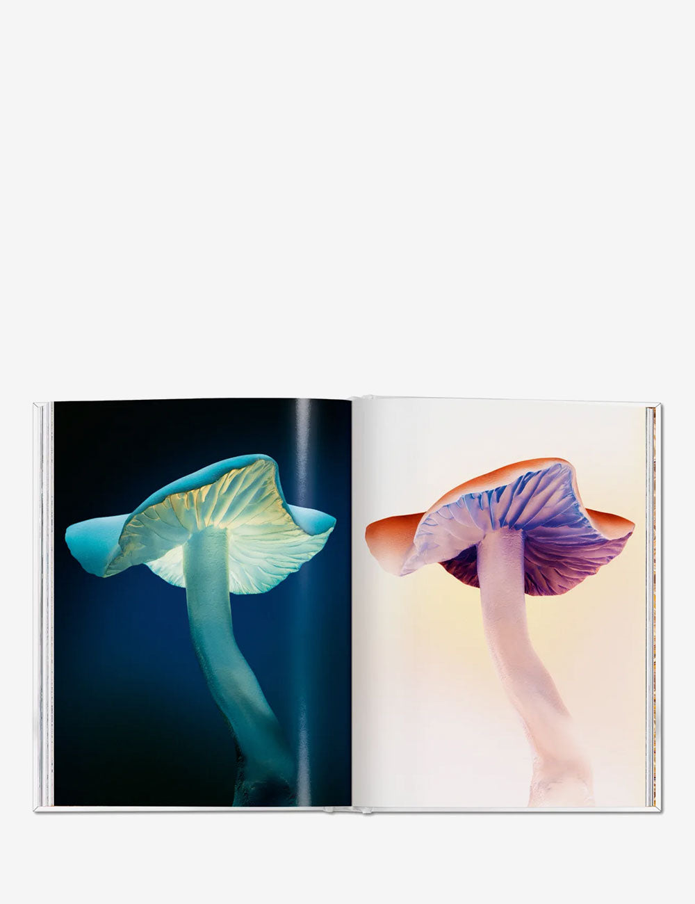 The Gourmand's Mushroom. A Collection of Stories and Recipes