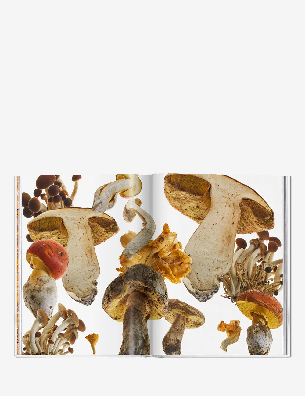 The Gourmand's Mushroom. A Collection of Stories and Recipes