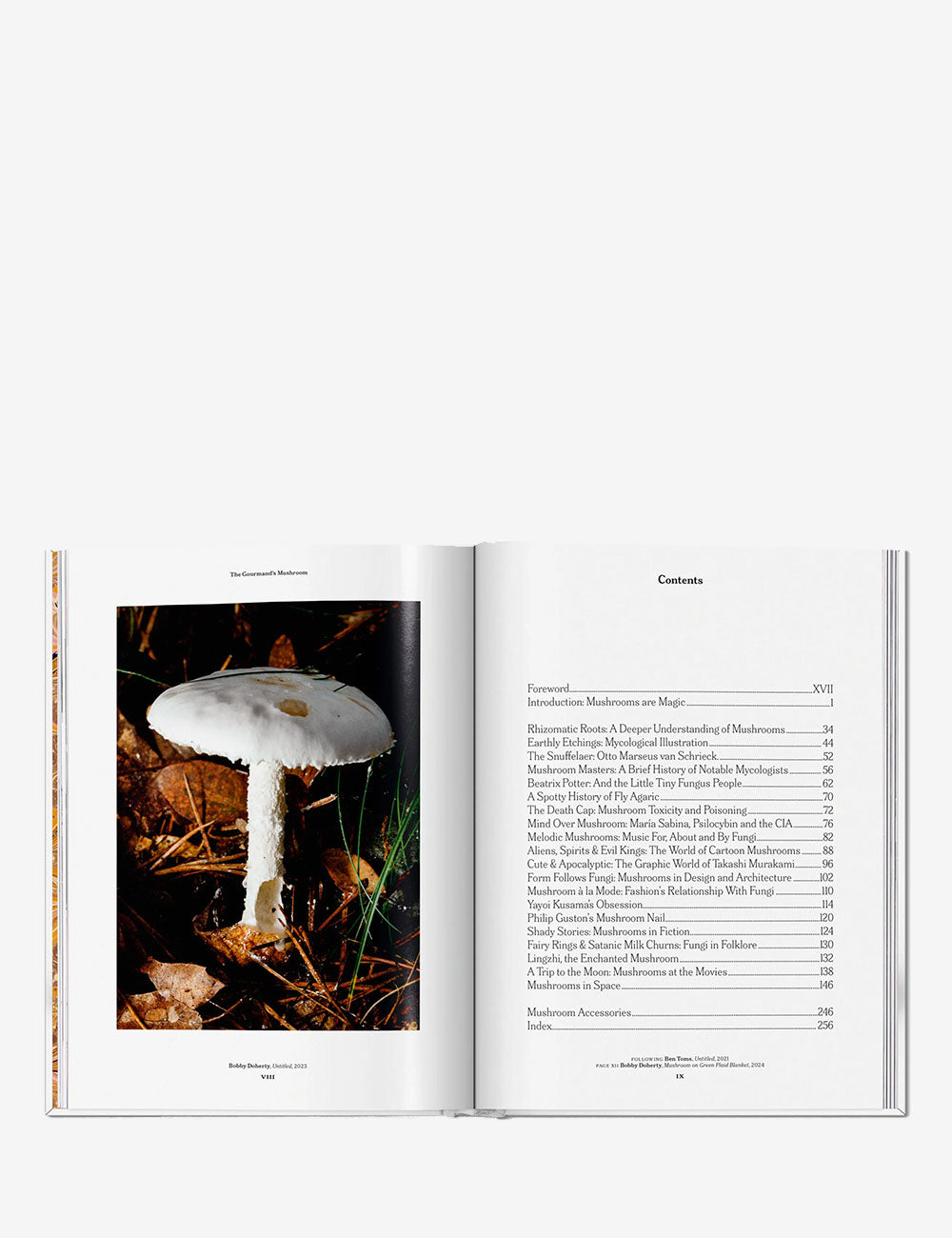 The Gourmand's Mushroom. A Collection of Stories and Recipes