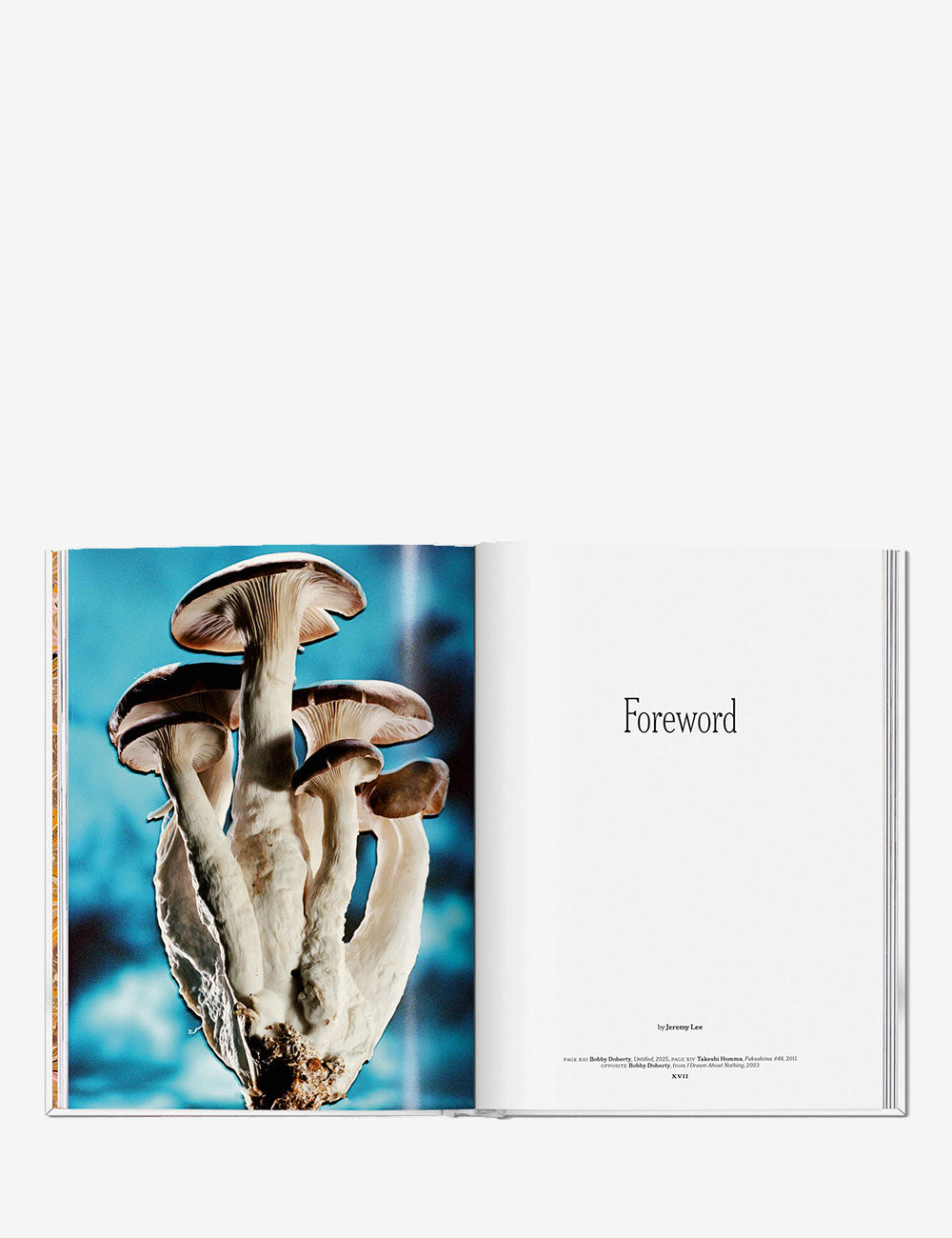 The Gourmand's Mushroom. A Collection of Stories and Recipes