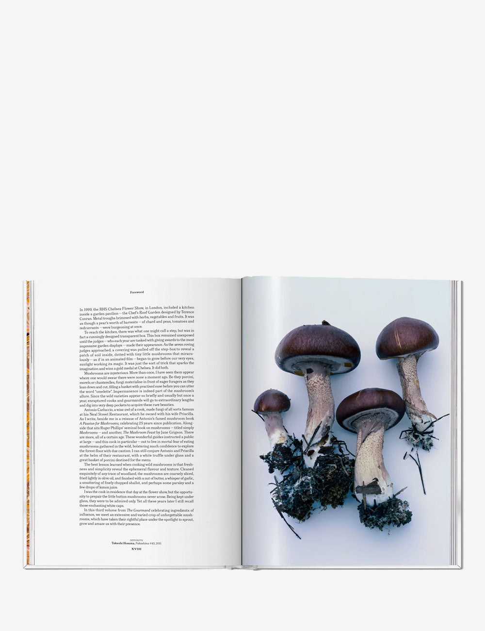 The Gourmand's Mushroom. A Collection of Stories and Recipes